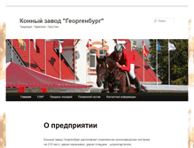 Tablet Screenshot of georgenburg.com